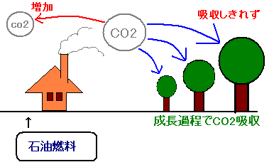 石油燃料で発生したCO２は吸収しきれず、濃度は増加してゆく。